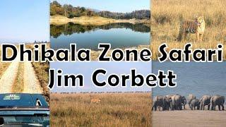 Dhikala Zone Safari at Jim Corbett National Park - Uttarakhand