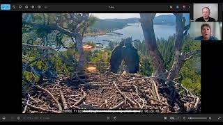 Jackie and Shadow Eagle nest cam fledging watch update and Wisconsin  Bald Eagle Nest Watch update.