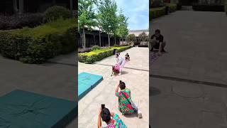 THIS DOG VERY CLEVER BUT ⁉️#viralshorts #cutedog #dogvideos
