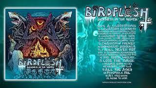 Birdflesh - Sickness In The North FULL ALBUM (2023 - Grindcore)