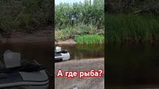 А где рыба?