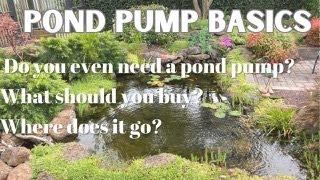 Pond pump basics