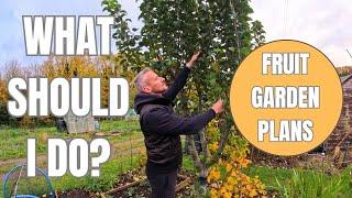 Fruit and flower garden future plans - Allotment Gardening UK