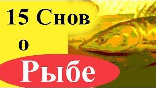 К чему снится рыба женщине и мужчине - 15 снов (в чистой и грязной воде, живая, большая, есть и др.)