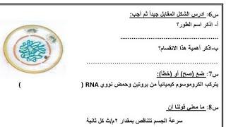 اهم الاسئلة جاية اكيد في امتحان العلوم للصف الثالث الاعدادي الترم الاول 2025 امتحان تالتة اعدادي