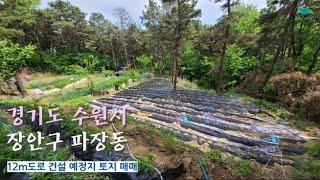 [신바람 집파고 매물정보공유 - 인터넷 주소창에 집파고.com 을 입력해주세요]수원시 파장동 물건지로 12m도로건설 예정지 "토지"대박 매매