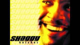 Shaggy - Lonely Lover