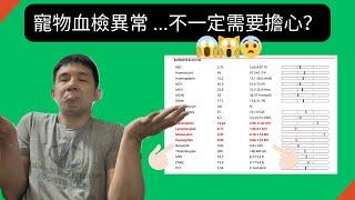 🩸寵物血液檢查異常  一定有問題嗎？什麼時候需要擔心？不需要擔心？