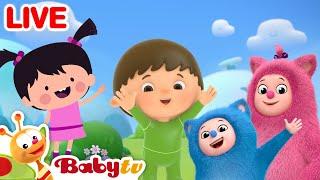  BabyTV LIVE!  Kinderliedjes en kindertekenfilms | Volledige afleveringen | Video's voor kinderen