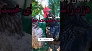 داستان واقعی :ملای خبیث و دزد راستگو#shorts