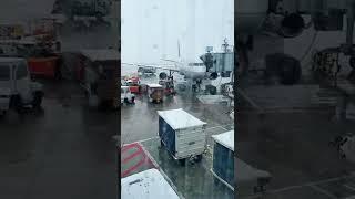 Travel Day Tiktok brandon lachappelle
