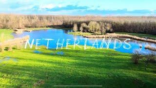 Oostvaardersplassen Nature Reserve || Lelystad || Netherlands