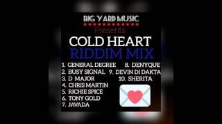 "COLD HEART RIDDIM" (MegaMix) BIG YARD MUSIC (General Degree, Busy Signal, Chris Martin