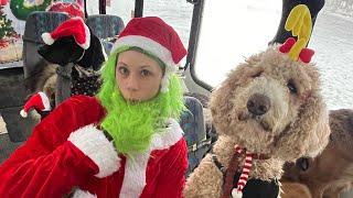 Merry Christmas from AM Crew on the puppy bus