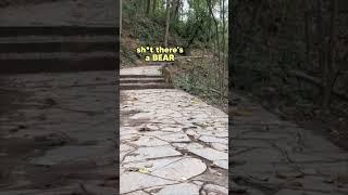 I’m out of breath  #funny #monkey #voiceover