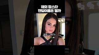 은근 특이한것 같은 해외 팝스타들 팬덤 이름 ㅋㅋㅋ