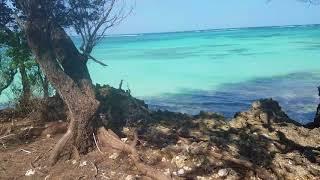 Ramisi Kinondo Oceanfront property for sale South of Galu Kinondo