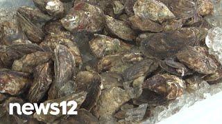 Connecticut launches Oyster Trail map to highlight state's culinary treasure | News 12