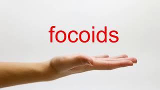 How to Pronounce focoids - American English