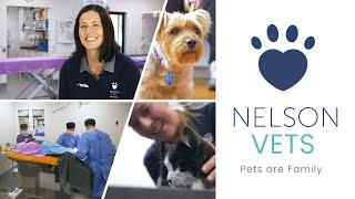 Nelson Vets