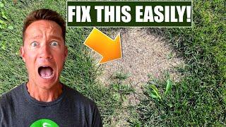 How to EASILY FIX BROWN PATCHES in your LAWN