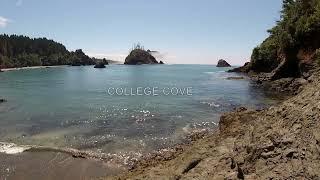 THE JOURNEY TO COLLEGE COVE