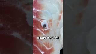 마트 생선 속 충격적인 실체 #생선기생충 #살코타세스 #식품안전