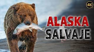 LA NATURALEZA SALVAJE DE ALASKA: Una Lucha por Sobrevivir | Documentales Completos en Español