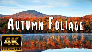 4K Beautiful Autumn Nature Foliage, Fall Scenery, Fall Foliage, Autumn Leaves, Autumn Drone Footage