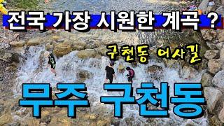 무주 구천동 여름폭염 확 날릴 장소~!/무주 맛집/적상산  머루와인동굴/구천동 어사길 탐방코스/