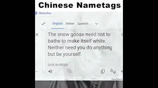 Counter Strike English Nametags vs Chinese Nametags in CS2