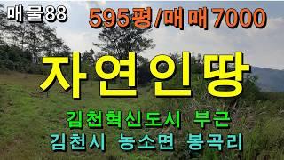 김천토지 김천땅/김천시 농소면 봉곡리/평수595평/매매7000만원/신도시 부근 막장 자연인 땅