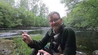 Fly fishing on the Savean River, Sweden June 2024 - flugfiske på Savean, sverige juni 2024