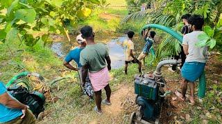 12000 രൂപ കൊടുത്ത്  Snakehead fishing #fishing