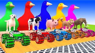 5 Giant Duck Cartoon,Tiger,Cow,Zebra,Kangaroo,Dog,Cat Wild Animals Crossing Fountain 2023