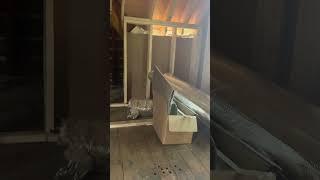 411 Humphrey progress 6/18/2025 Part 3