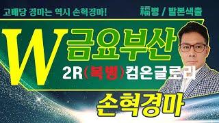 고배당 경마는 역시 손혁 경마 5/30(금)부산 복병마 내용을 확인해 보세요!!