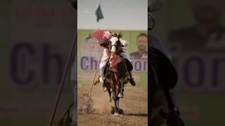 #horsevideos #animal #speed #intertainment #viralvideo