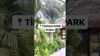 The $100,000,000 Timsah Park in Dubai