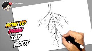 How to draw Tap Root