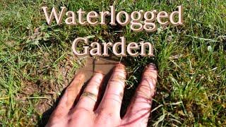 Heavily waterlogged garden | Clay soil | How are we going to fix this?