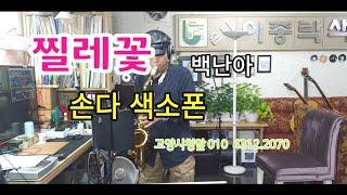 찔레꽃  -   손다색소폰  / 백난아