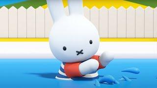 Miffy Goes Swimming  | Miffy | Miffy's Adventures Big & Small