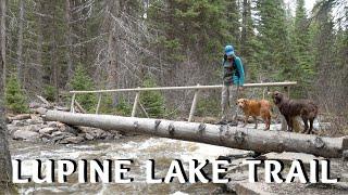 Hike to Lupine Lake in the Flathead National Forest