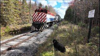 "North Woods Ramblin'" Adirondack RR