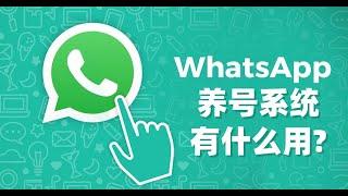 WhatsApp养号系统有什么用?#WhatsApp养号#WhatsApp养号攻略