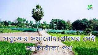 ফাগুনের রুপে সেজেছে গ্রামের প্রকৃতি। Bangladesh Village, gram Express BD