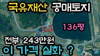 국유재산 토지 136평이 전부 243만원에 공매로 나왔습니다. 1평에 243만원이 아니에요, 136평 전부다 243만원입니다. 인터넷 입찰이 가능한 저수지옆 국유재산 공매 토지