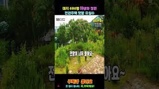 급매 야생화 정원 넓은 대지 전원주택 매매 추가 신축 가능 부모님이 살면 좋을 것 같은 #전원주택매매 (행운집땅부동산tv)