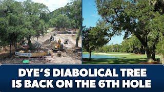 Relocating a 500,000-pound tree at TPC Sawgrass | THE PLAYERS Championship